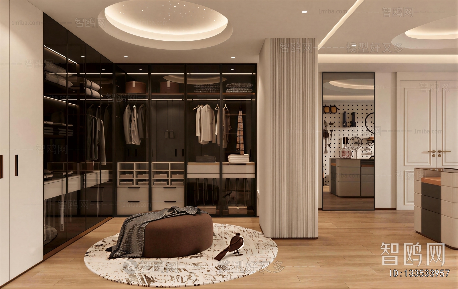 Modern Clothes Storage Area