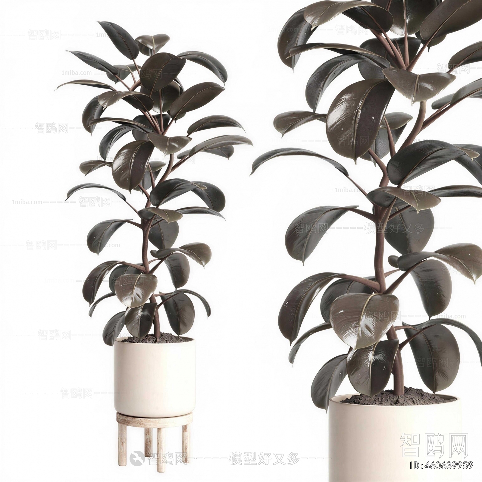 Modern Ground Green Plant Potted Plants