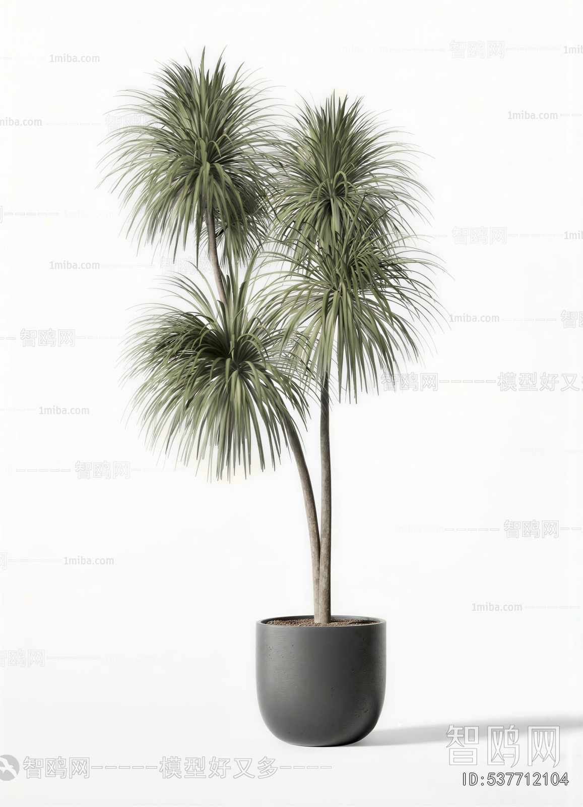Modern Ground Green Plant Potted Plants
