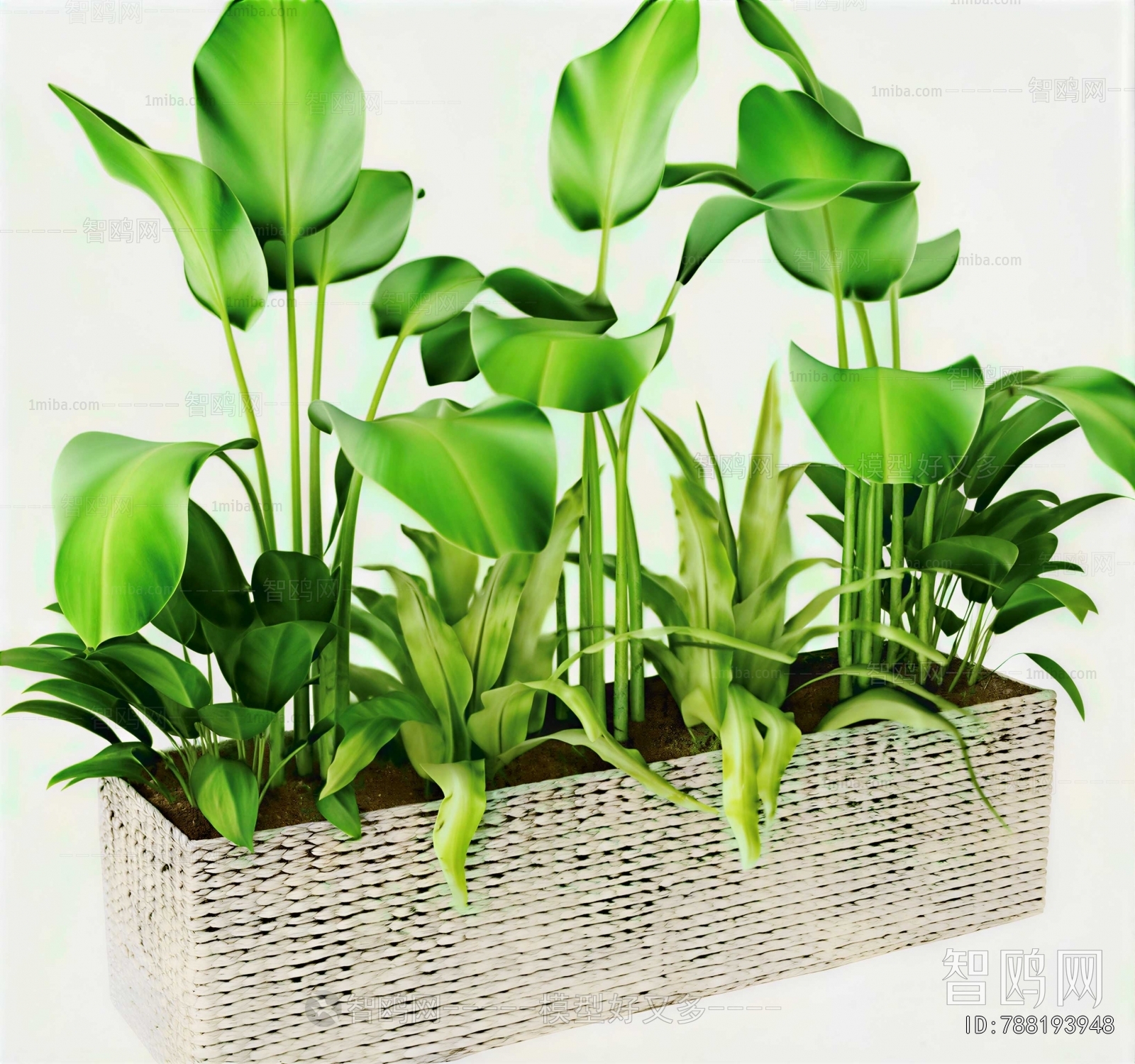 Modern Flower Bed, Flower Bowl, Flower Box