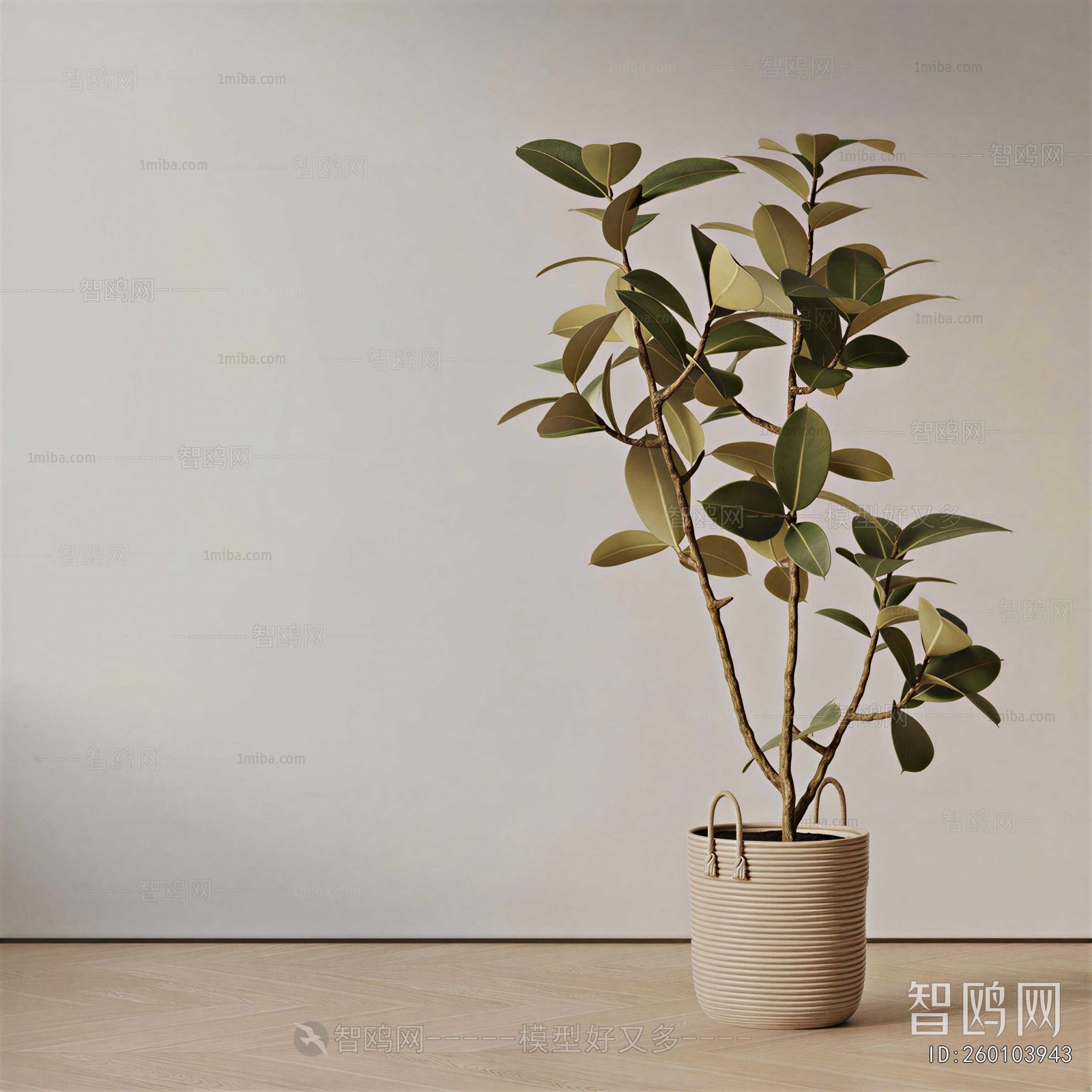 Modern Ground Green Plant Potted Plants