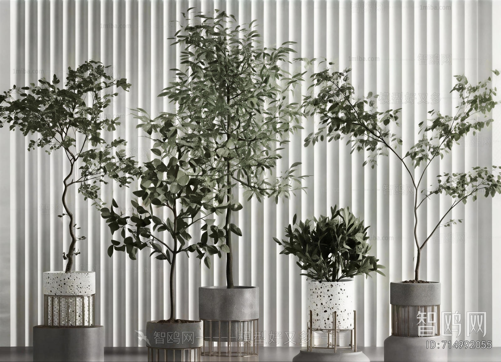 Modern Ground Green Plant Potted Plants
