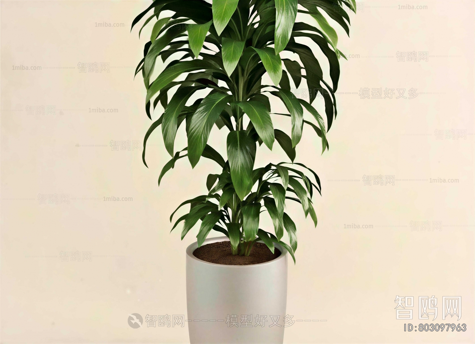Modern Ground Green Plant Potted Plants