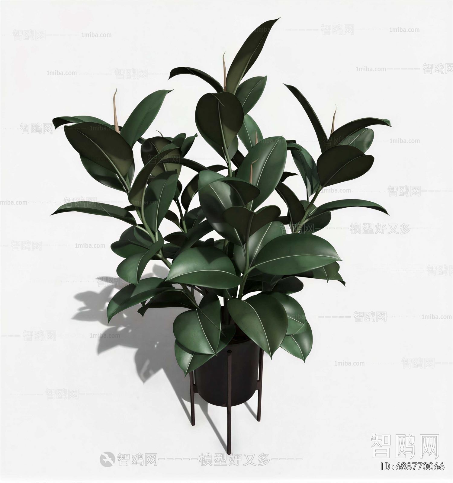 Modern Potted Green Plant
