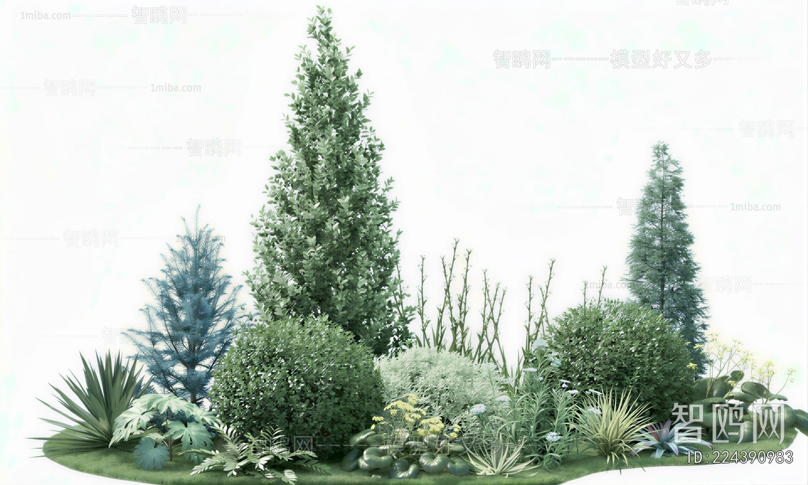 Modern Plant Landscaping