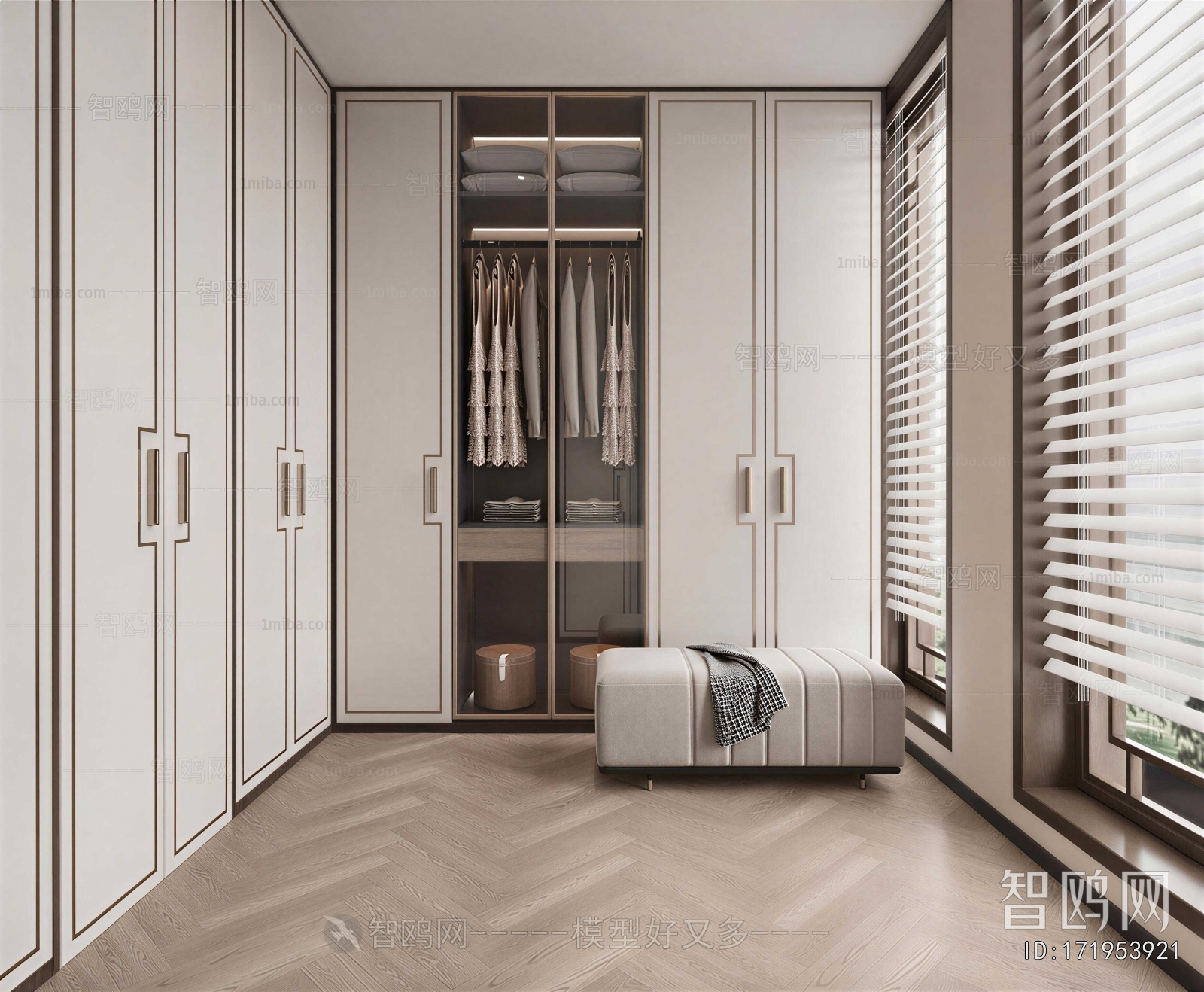 Modern Clothes Storage Area