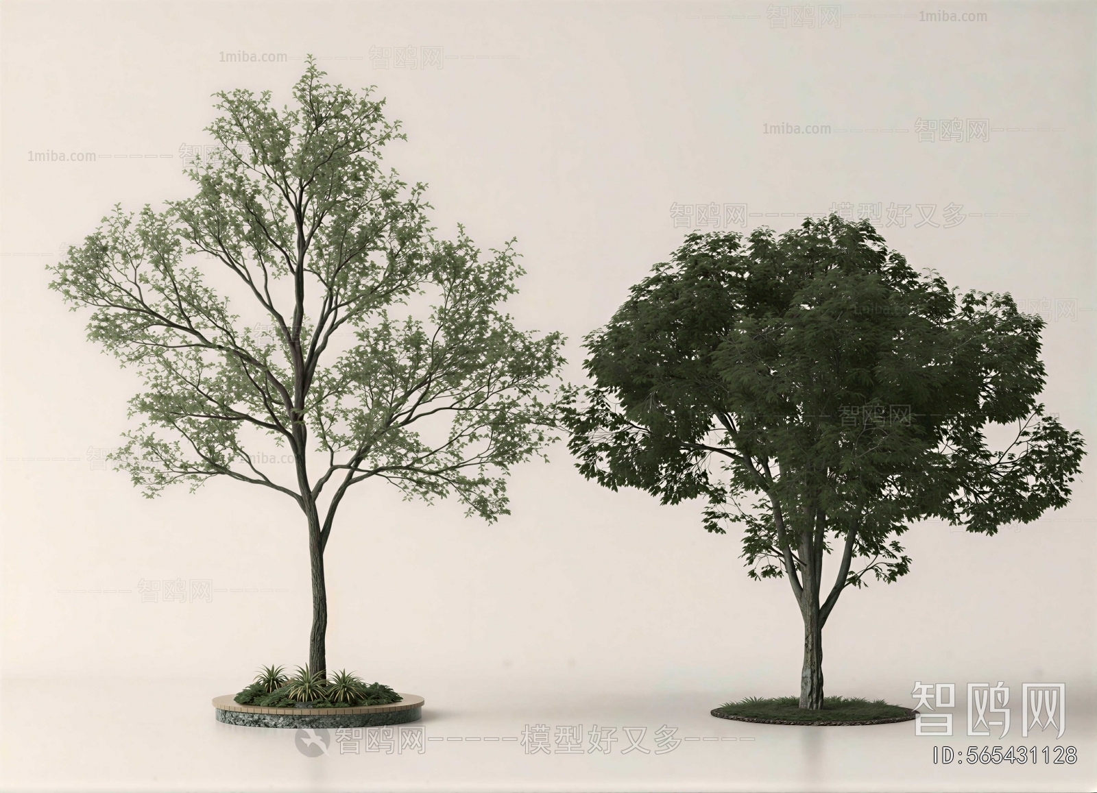 Modern Tree