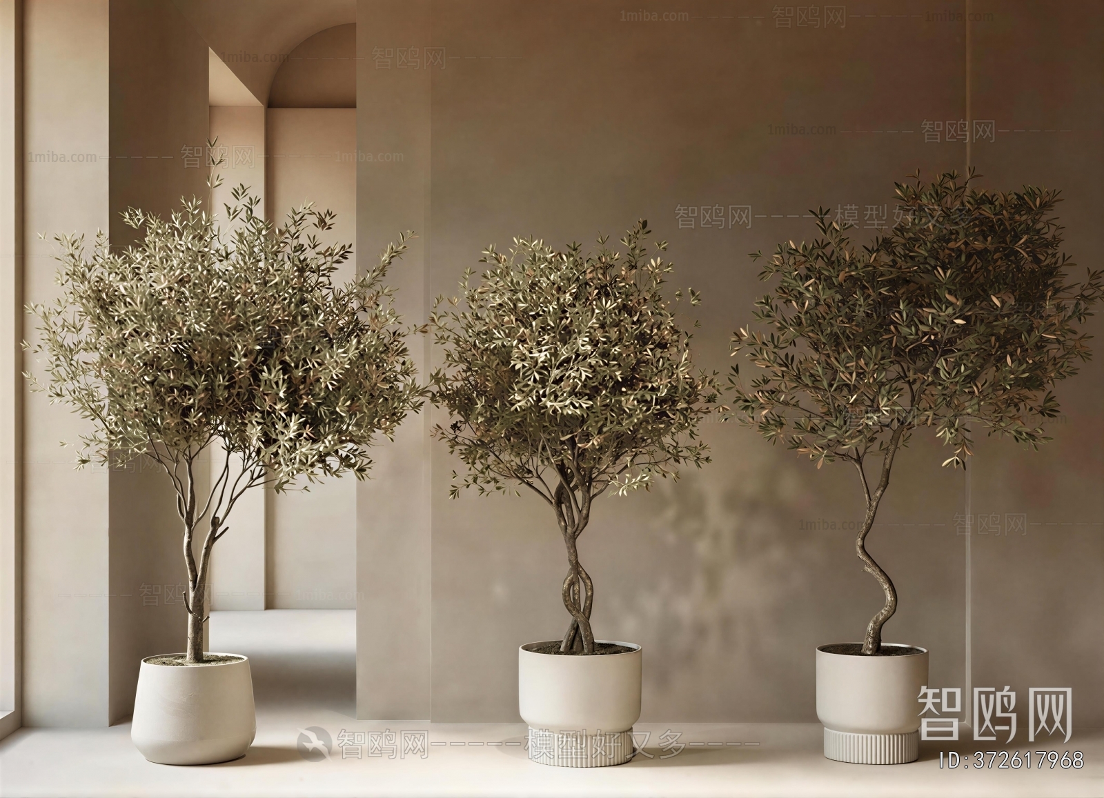 Modern Ground Green Plant Potted Plants