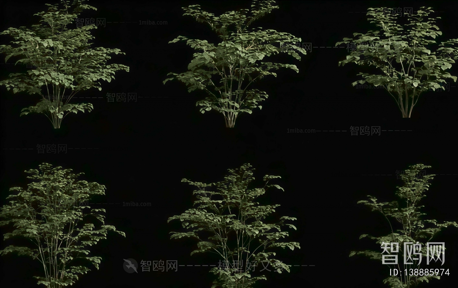 Modern Shrubbery