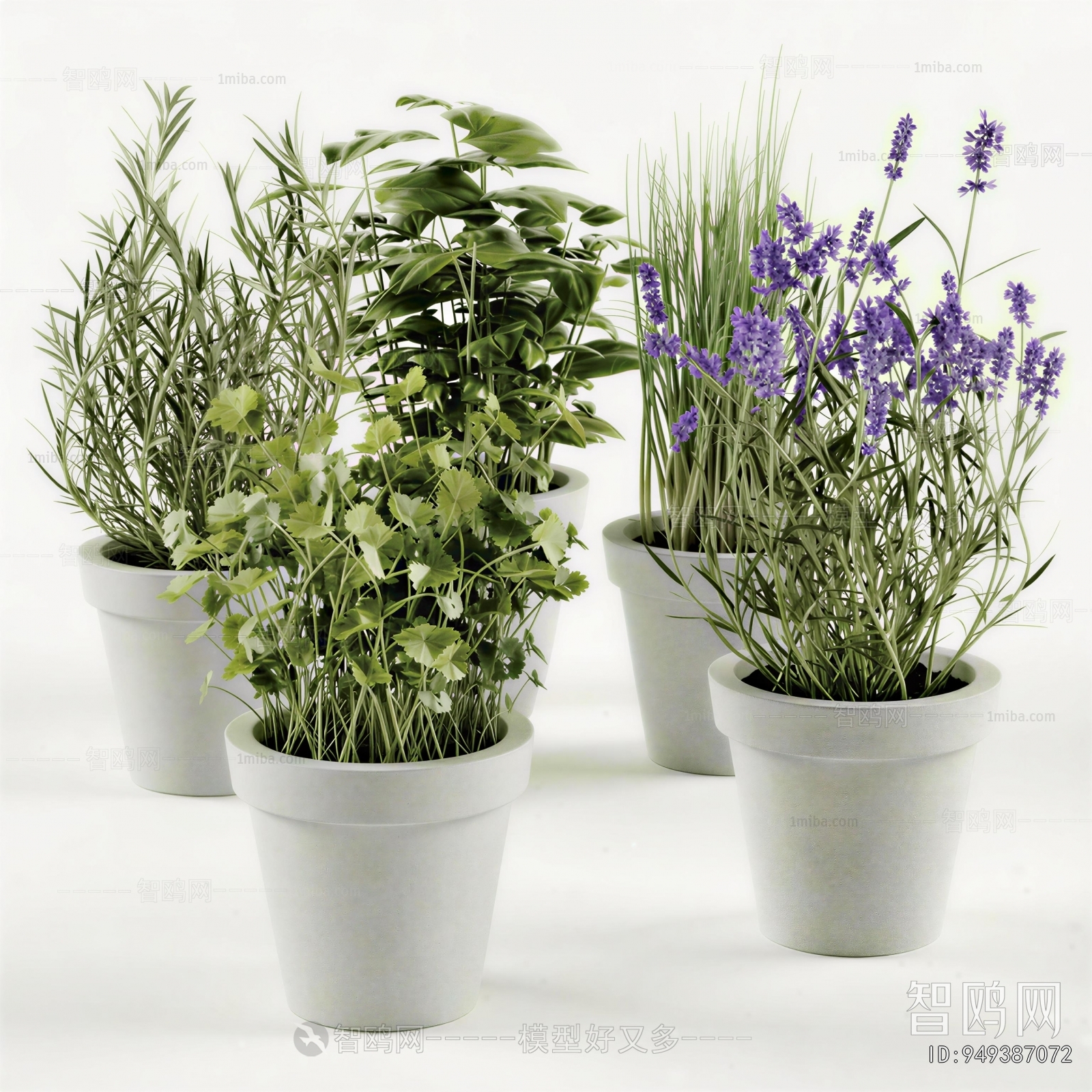 Modern Potted Green Plant