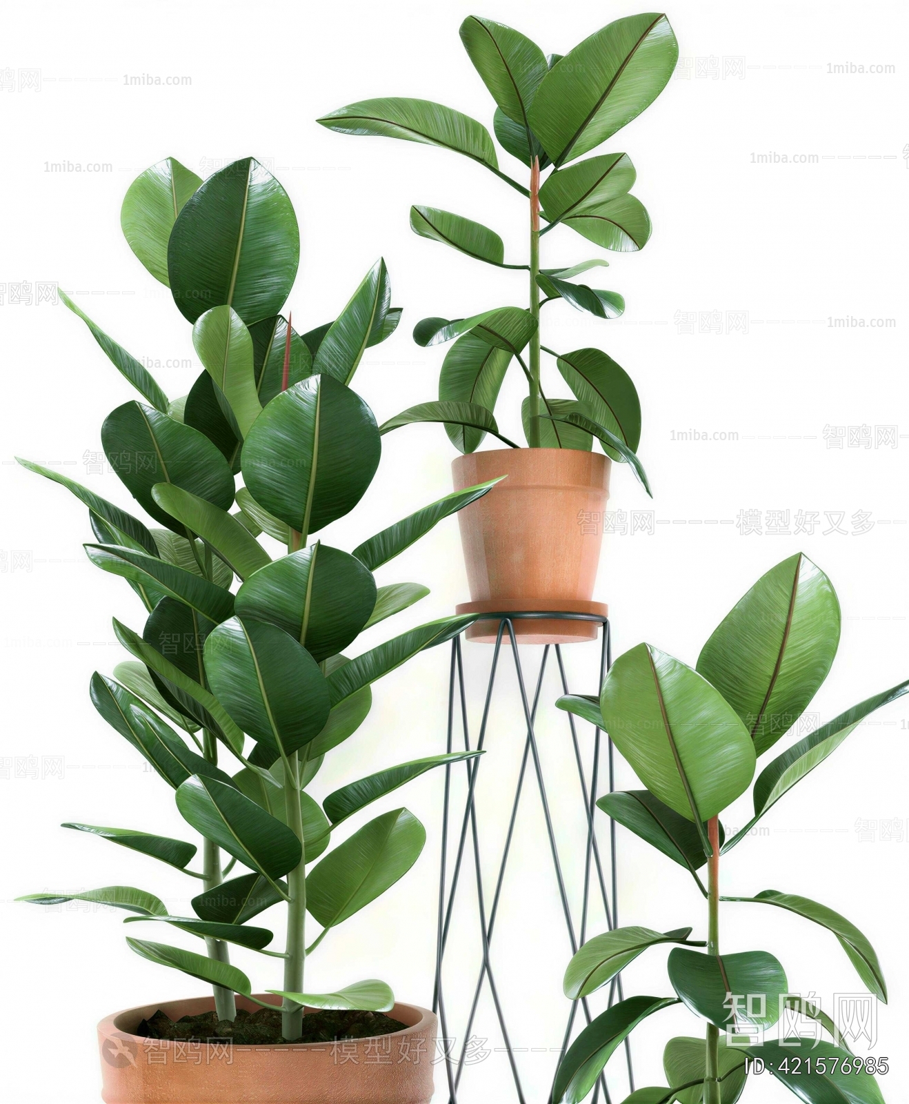 Modern Ground Green Plant Potted Plants