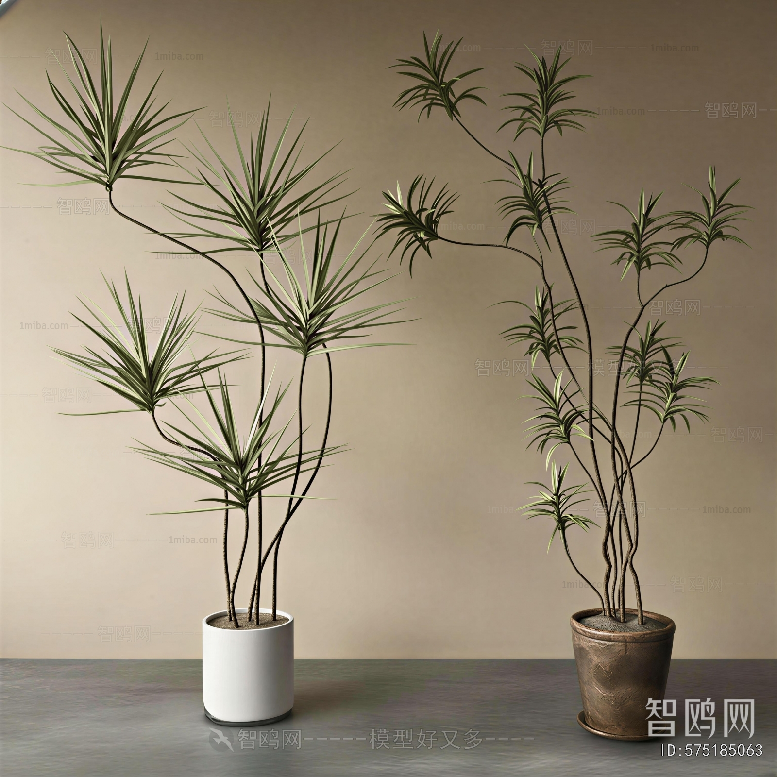 Modern Ground Green Plant Potted Plants