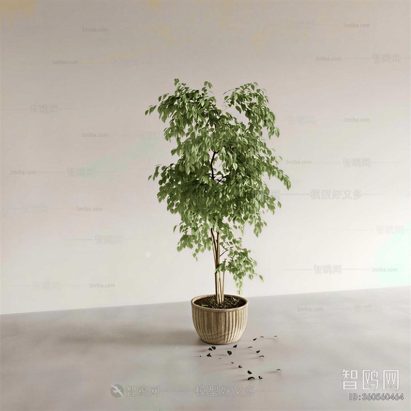 Modern Ground Green Plant Potted Plants
