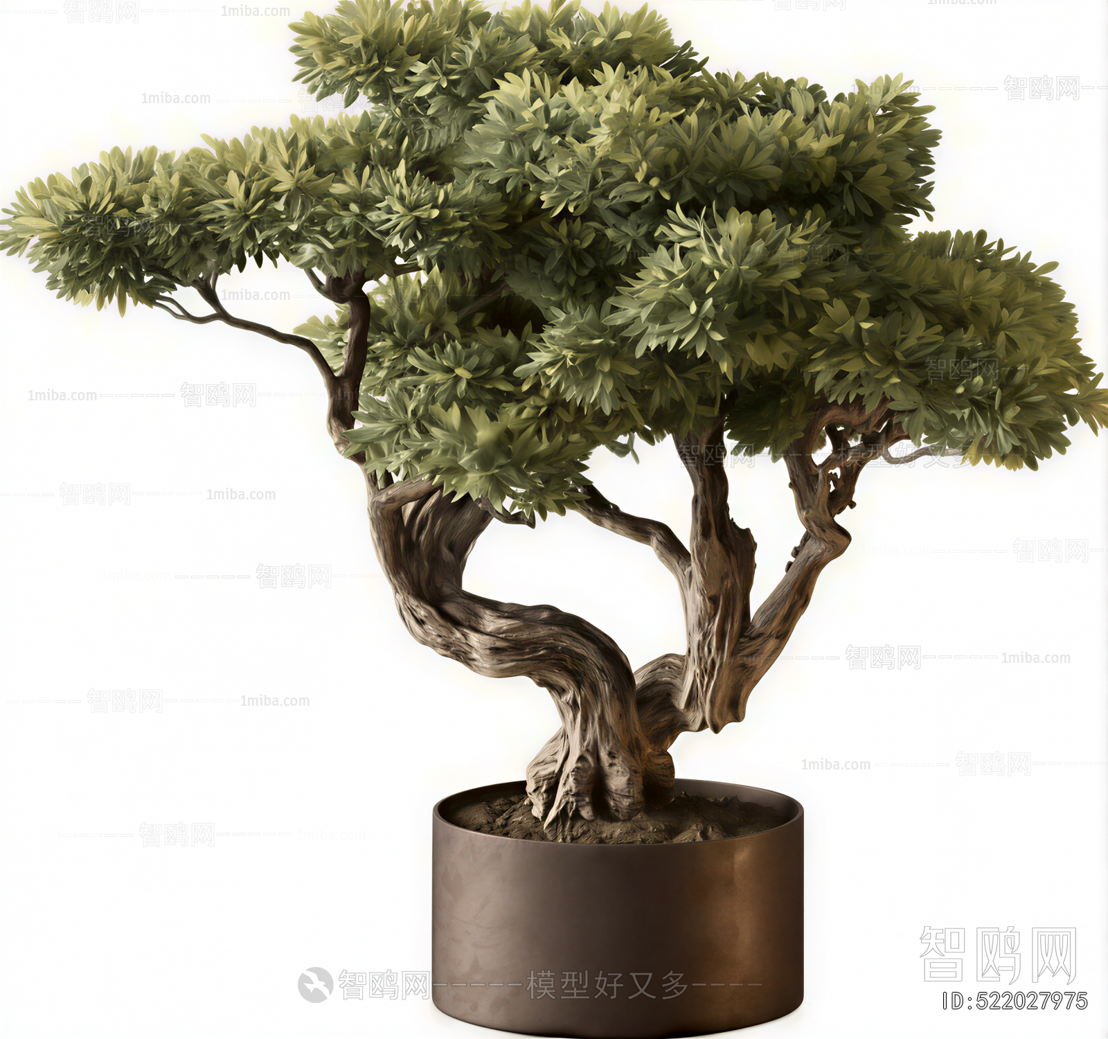 Modern Ground Green Plant Potted Plants