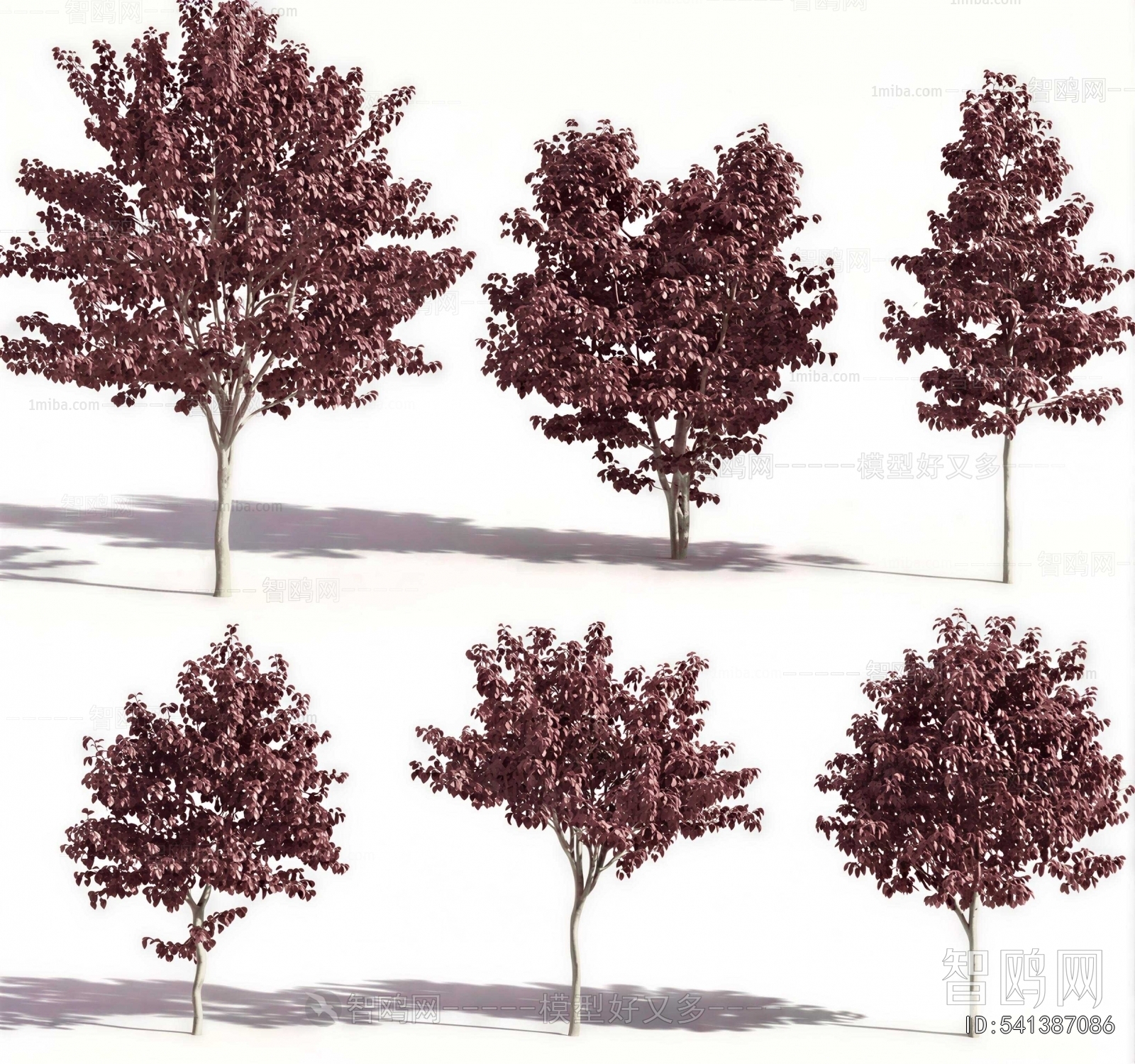 Modern Tree