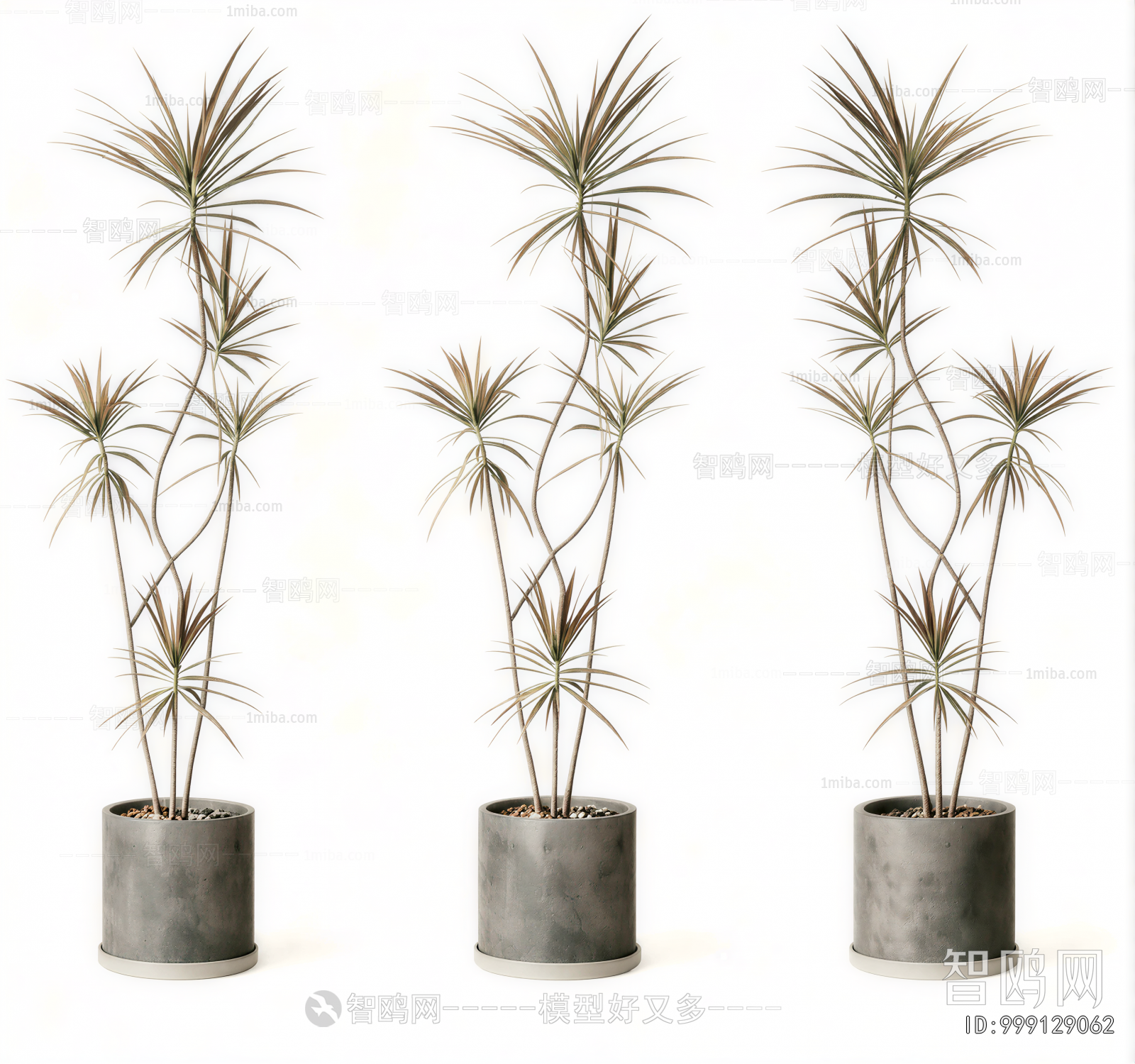 Modern Ground Green Plant Potted Plants