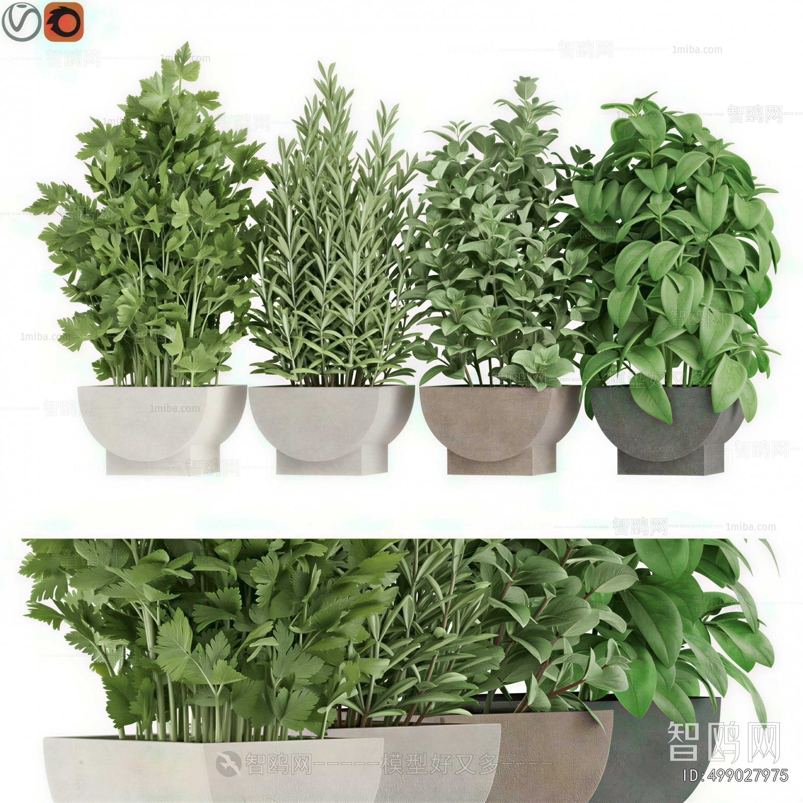 Modern Potted Green Plant