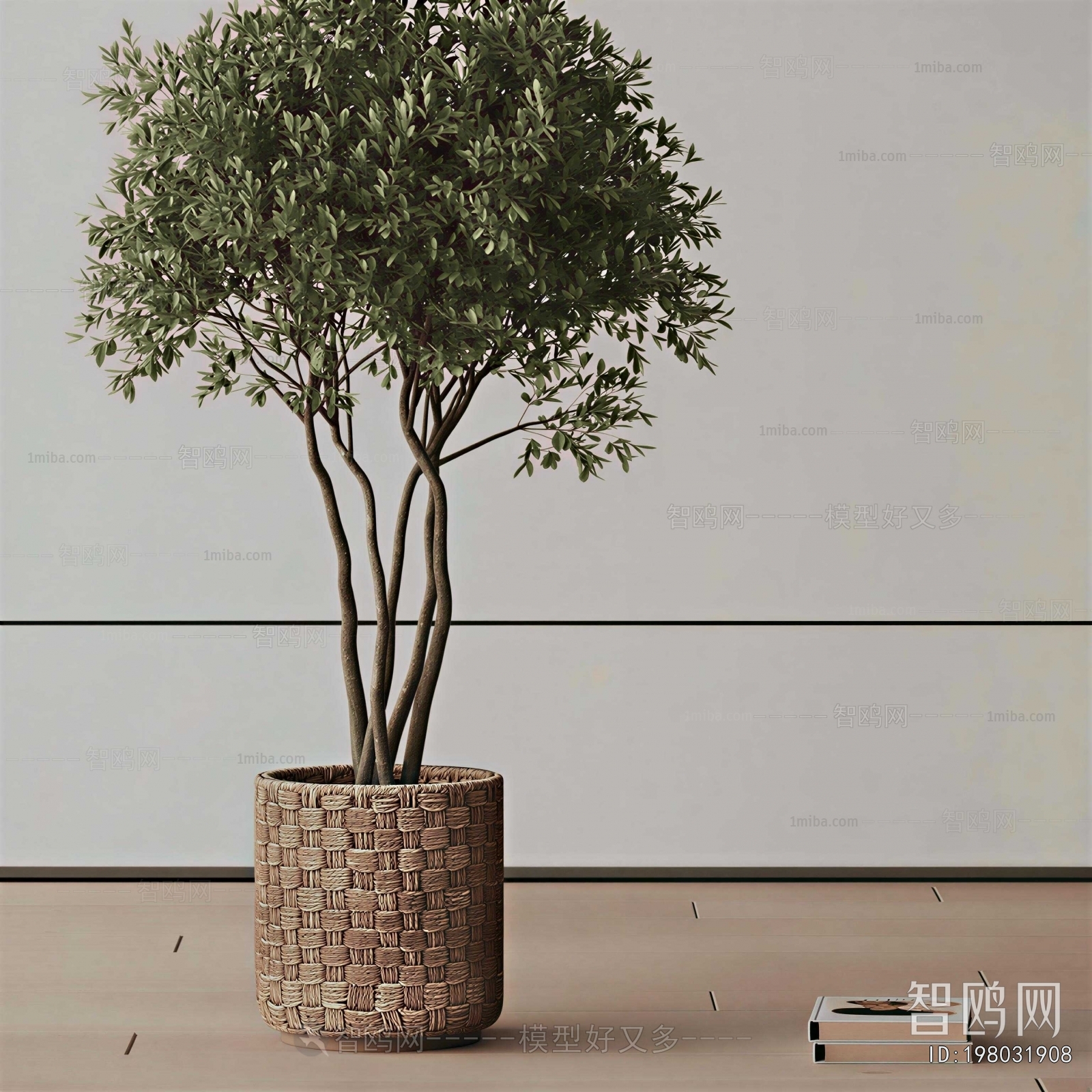 Modern Ground Green Plant Potted Plants