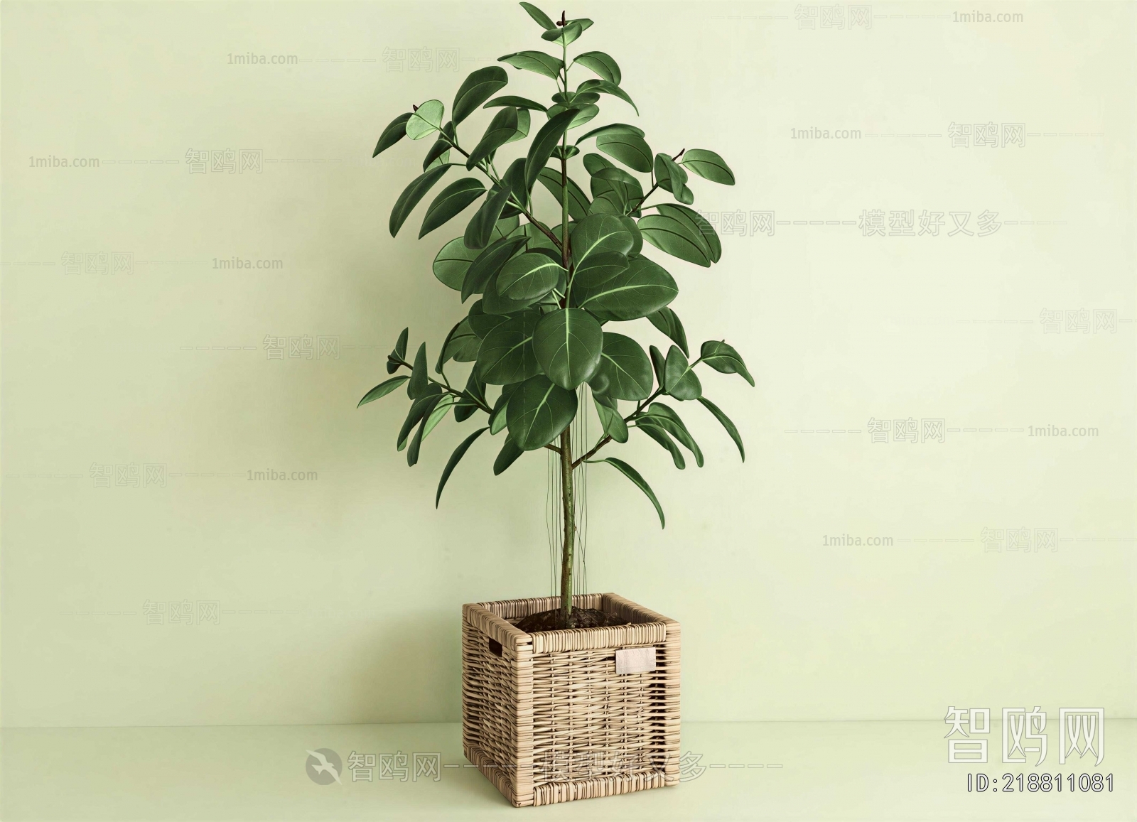 Modern Ground Green Plant Potted Plants