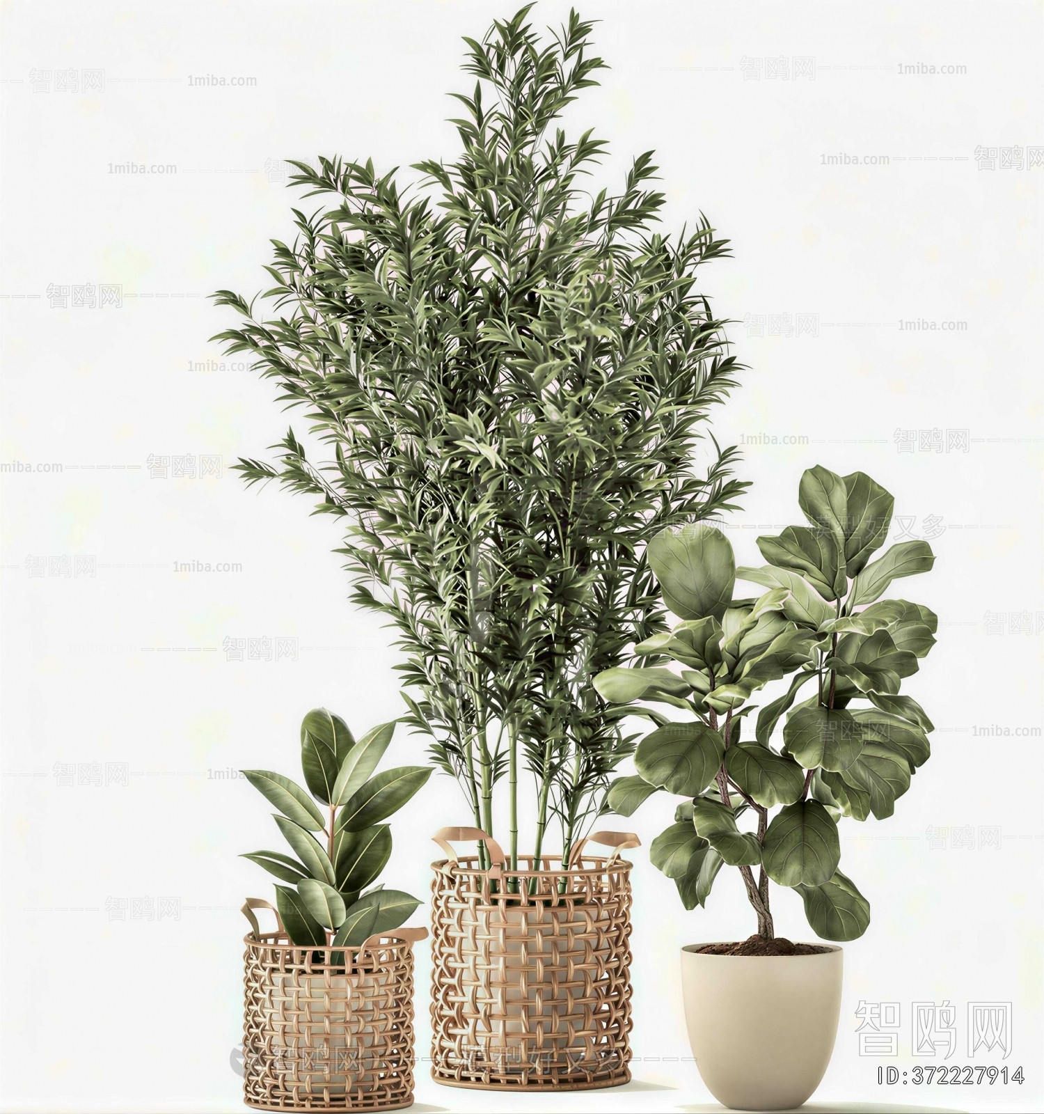 Modern Ground Green Plant Potted Plants