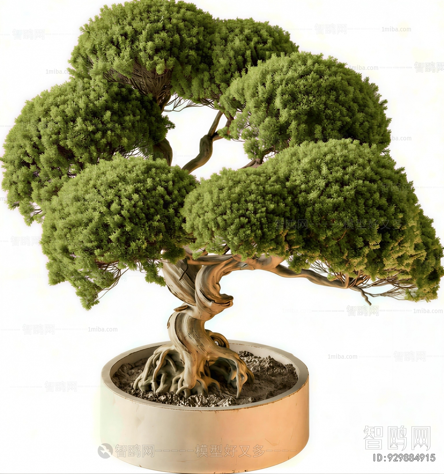New Chinese Style Ground Green Plant Potted Plants