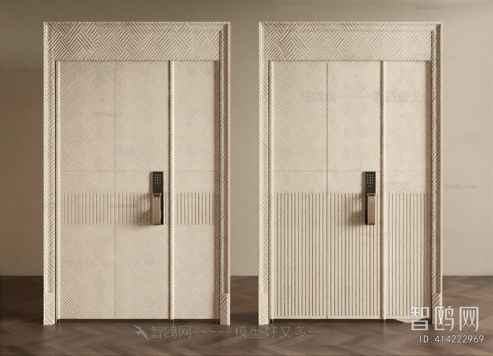 Modern Entrance Door