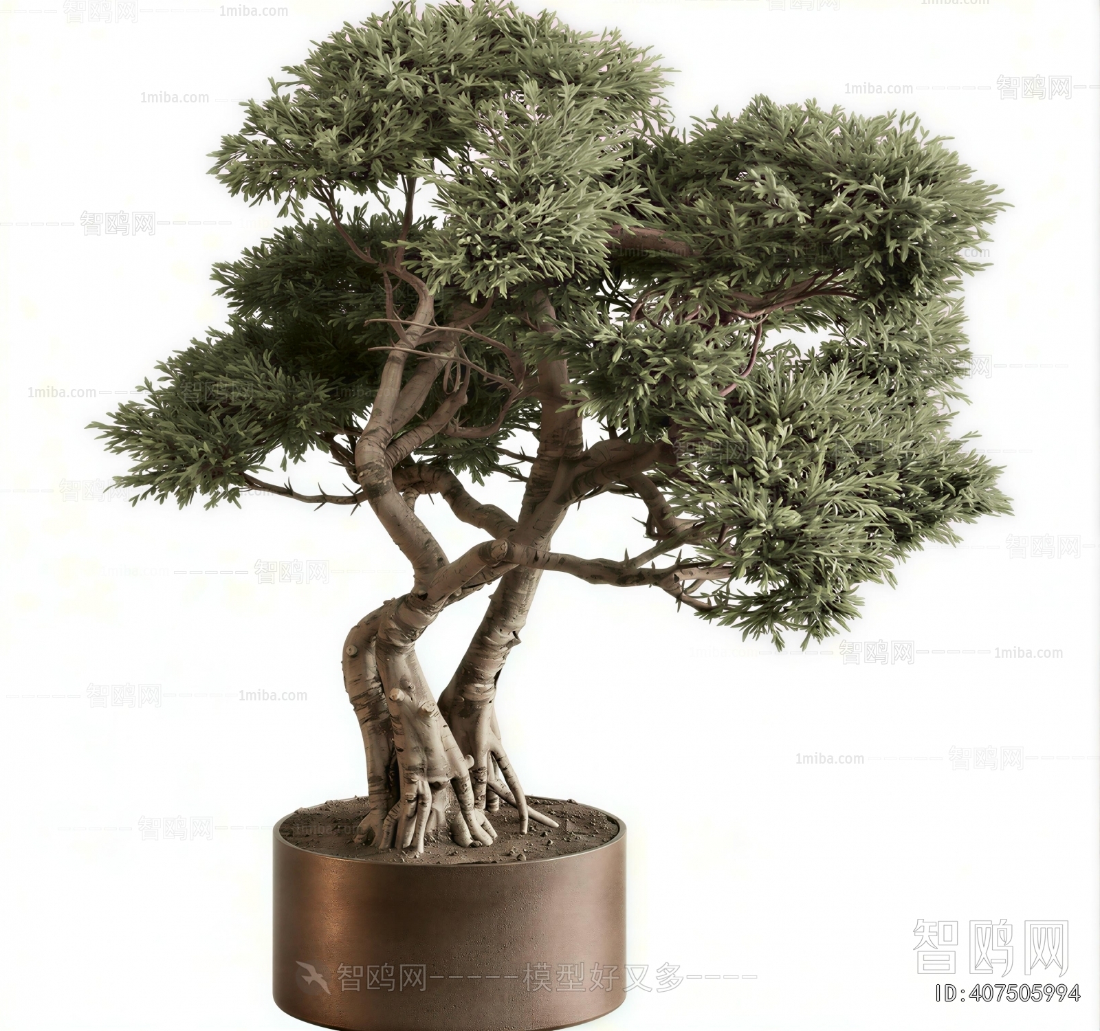 Modern Ground Green Plant Potted Plants