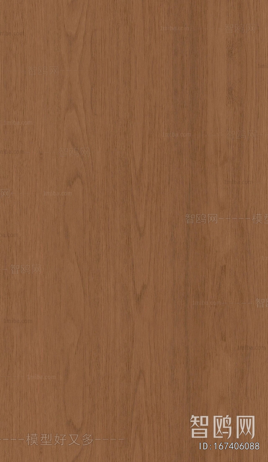 Wood Texture