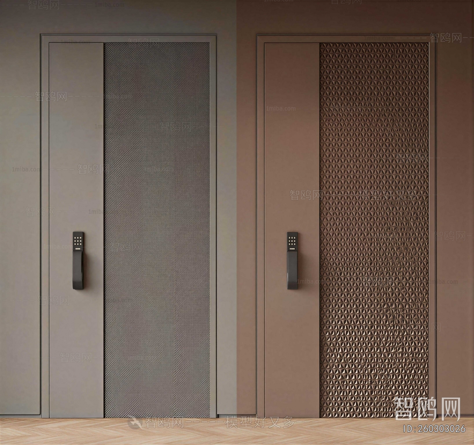 Modern Entrance Door