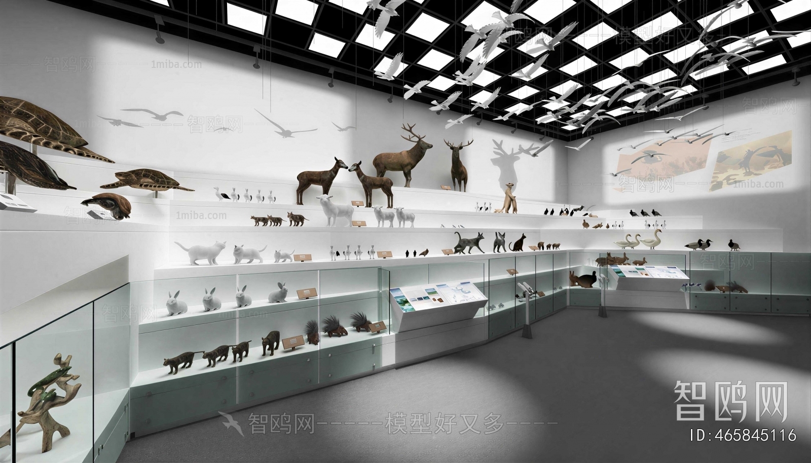 Modern Exhibition Hall