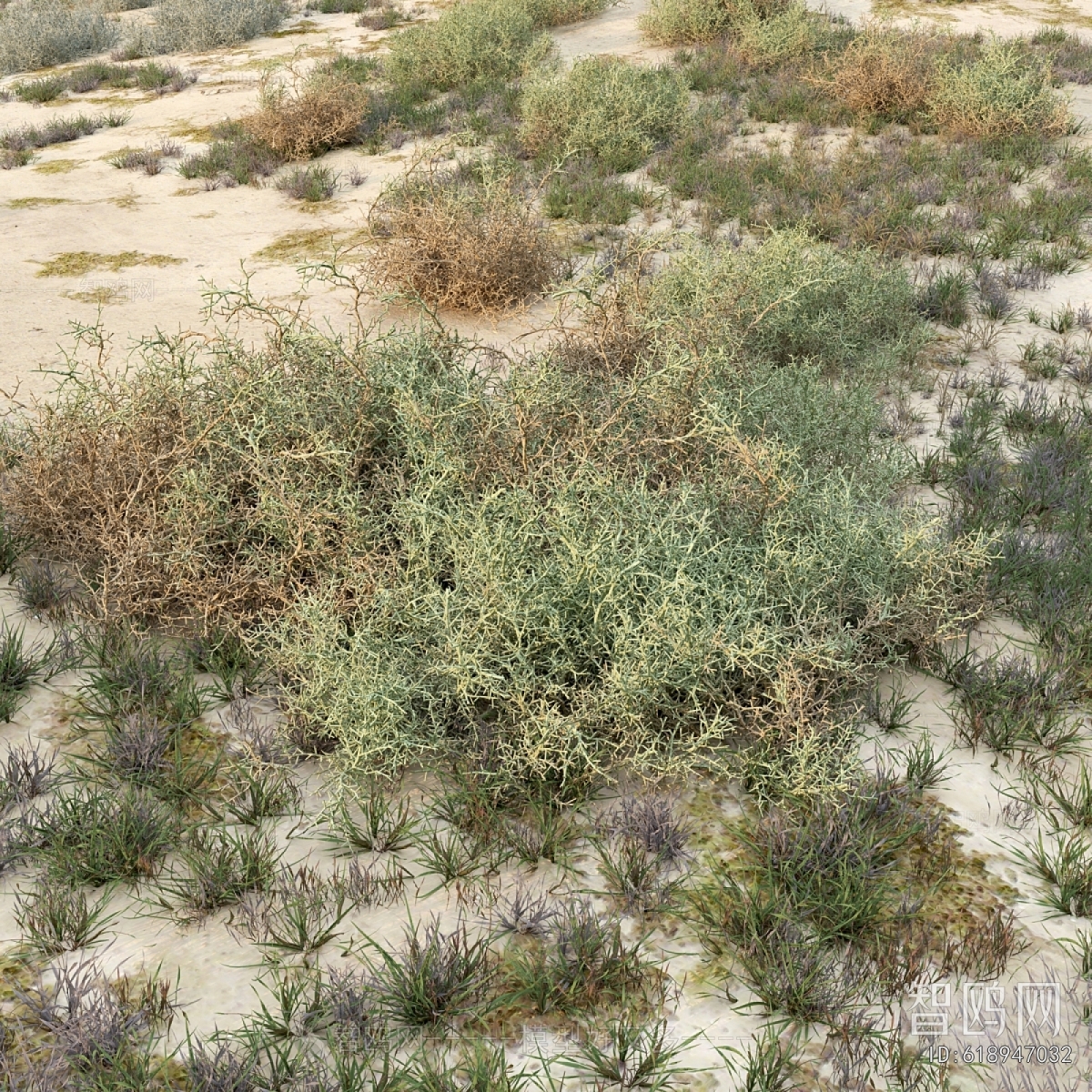 Modern The Grass