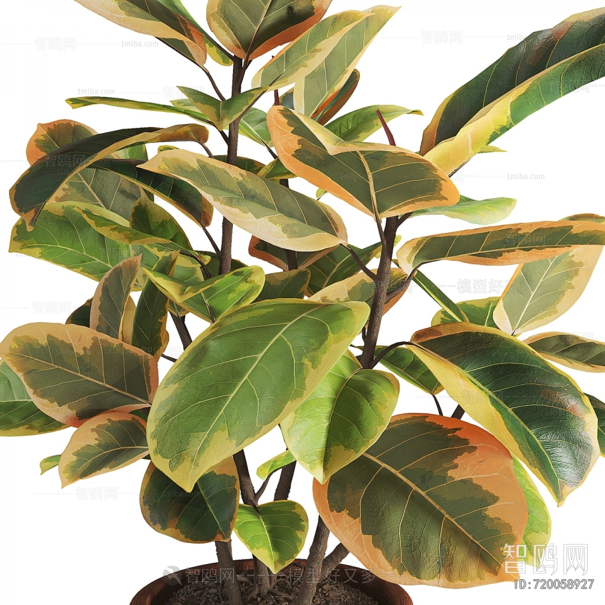 Modern Potted Green Plant