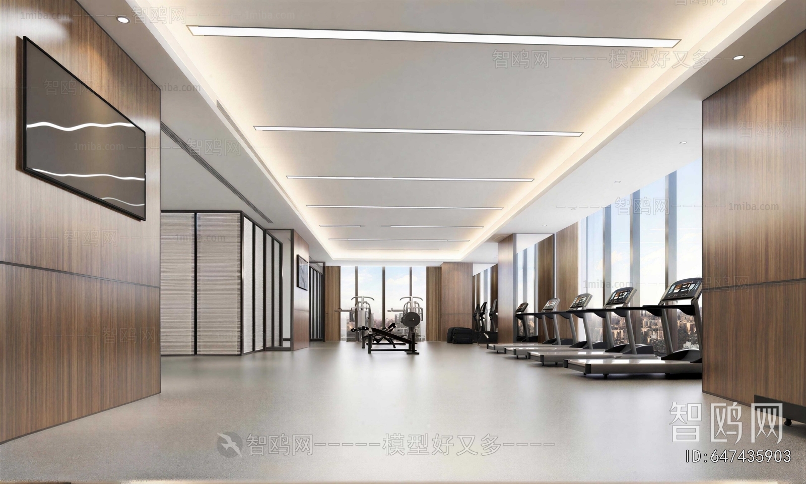 Modern Gym