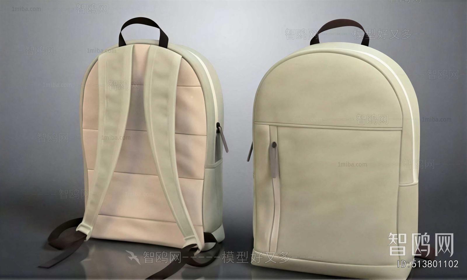 Modern Backpack And Backpack