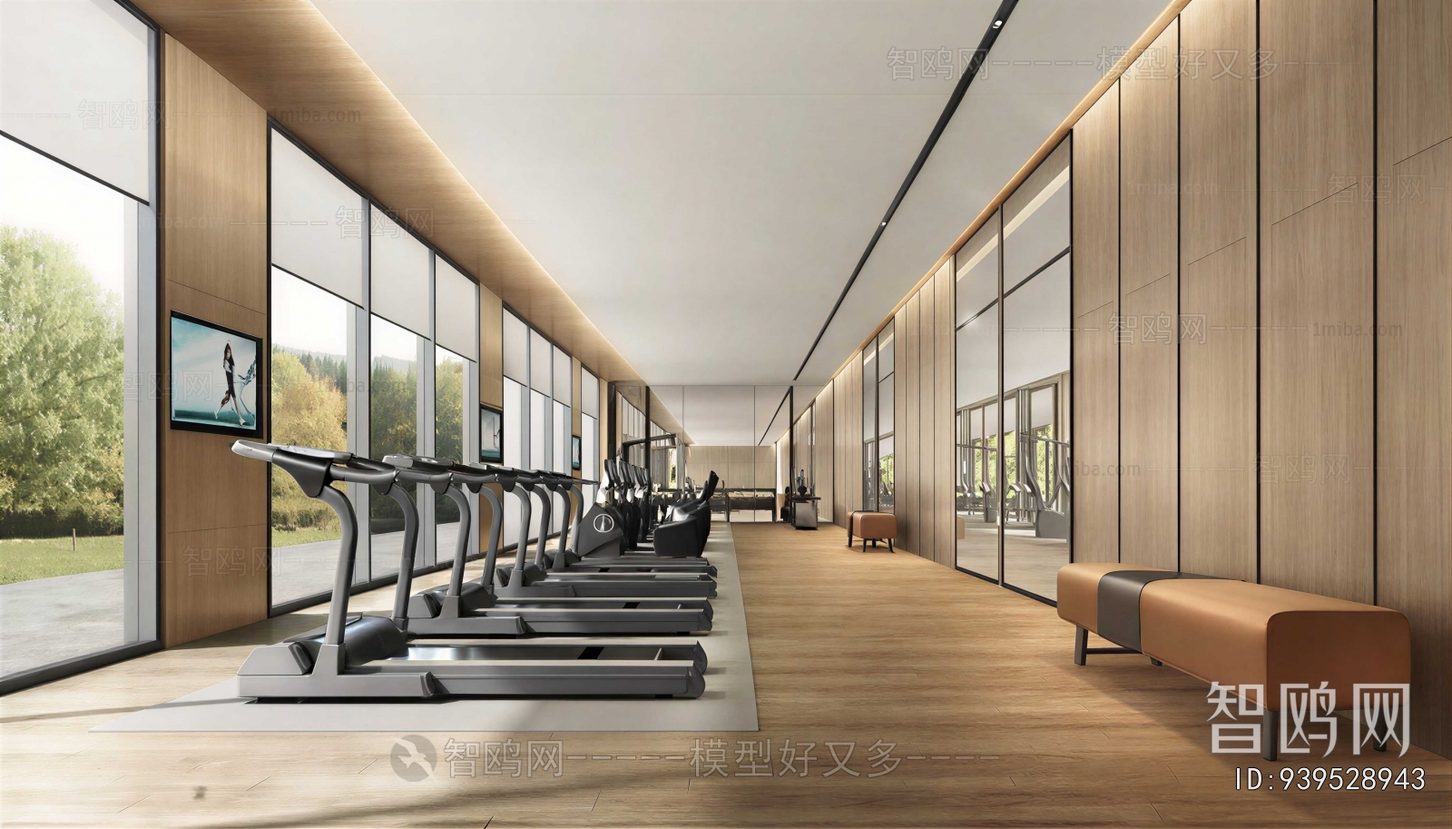 Modern Gym