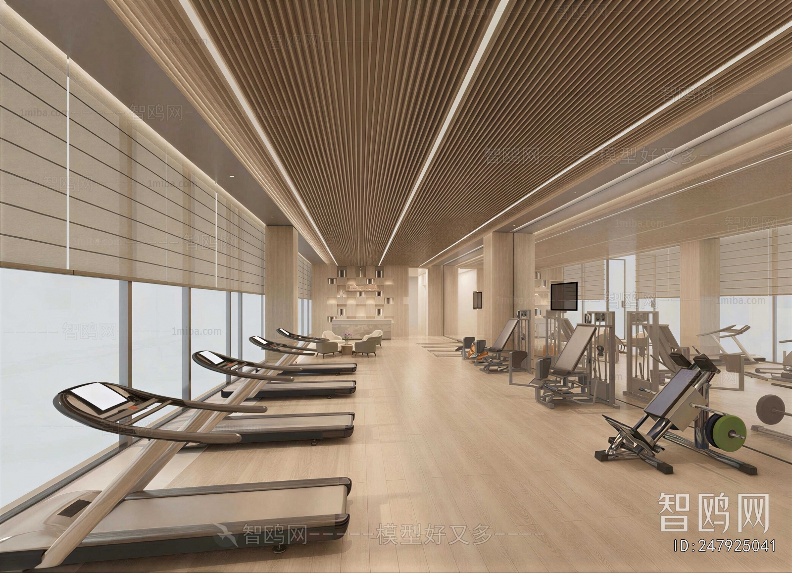 Modern Gym