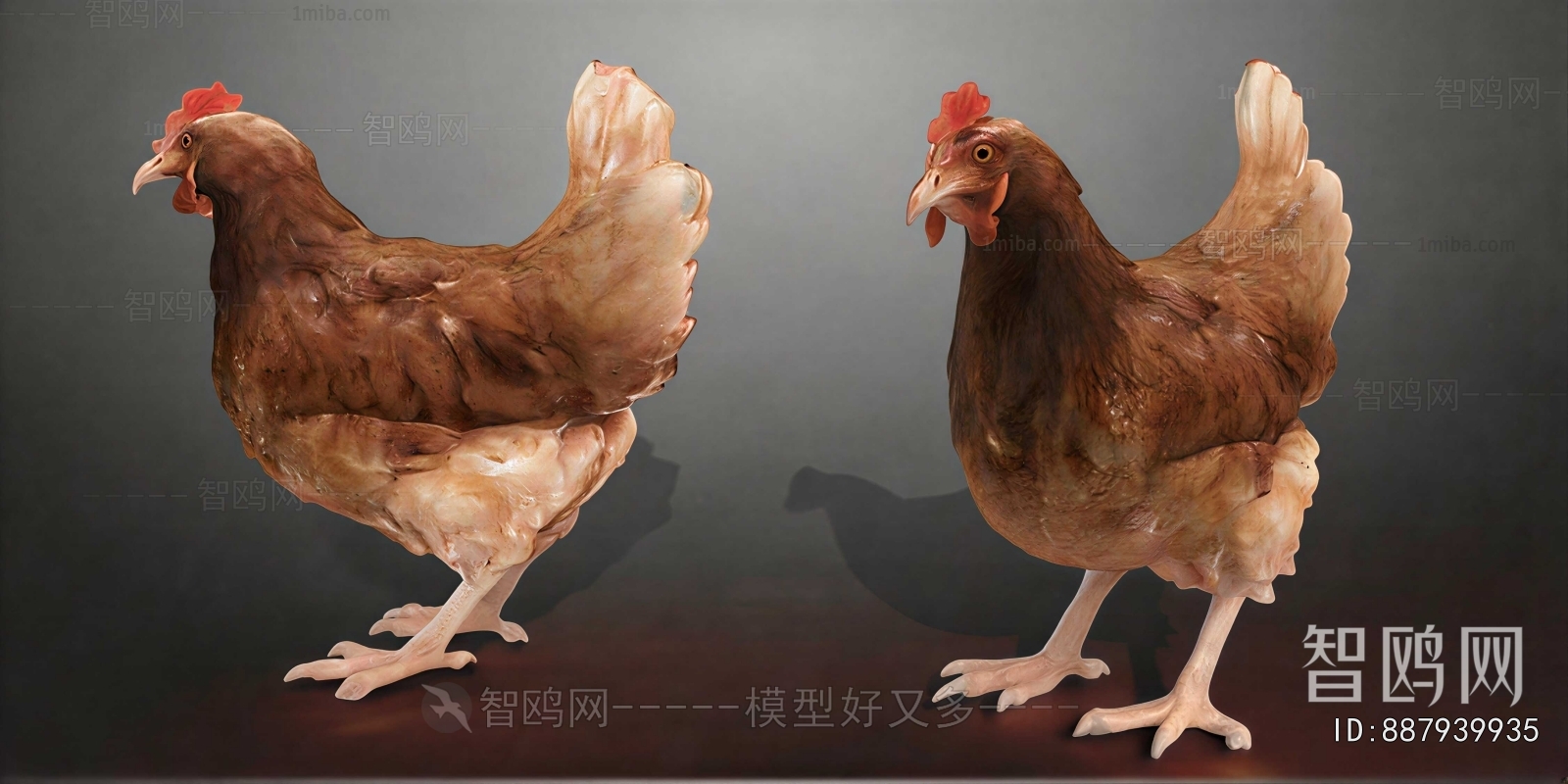 Modern Poultry Animal