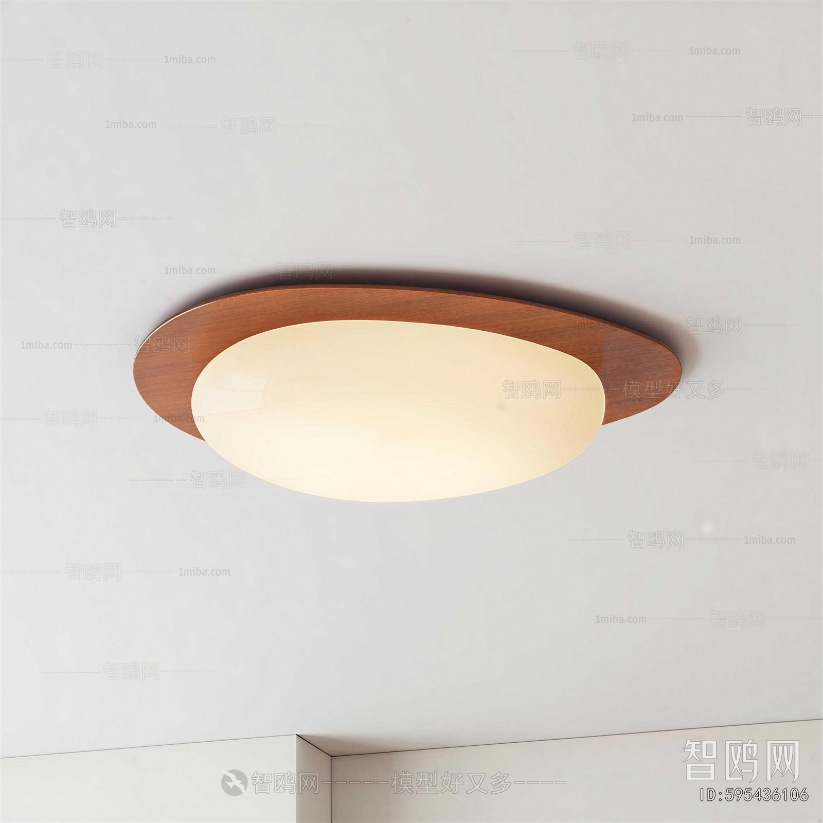 Modern Ceiling Ceiling Lamp