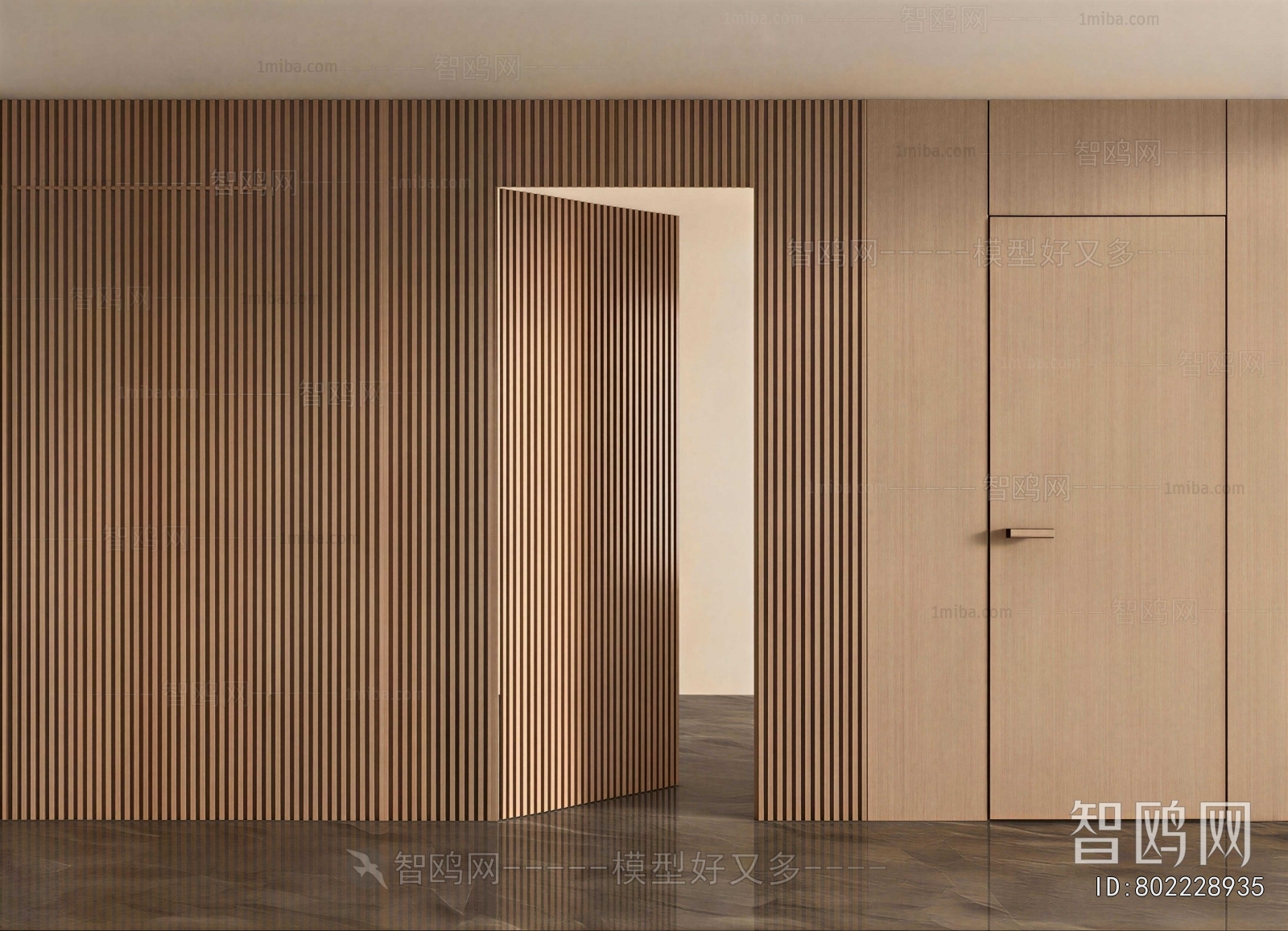 Modern Single Door