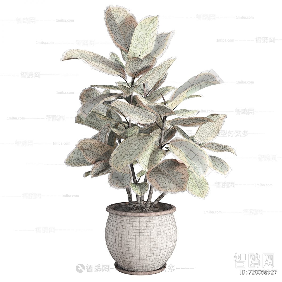 Modern Potted Green Plant