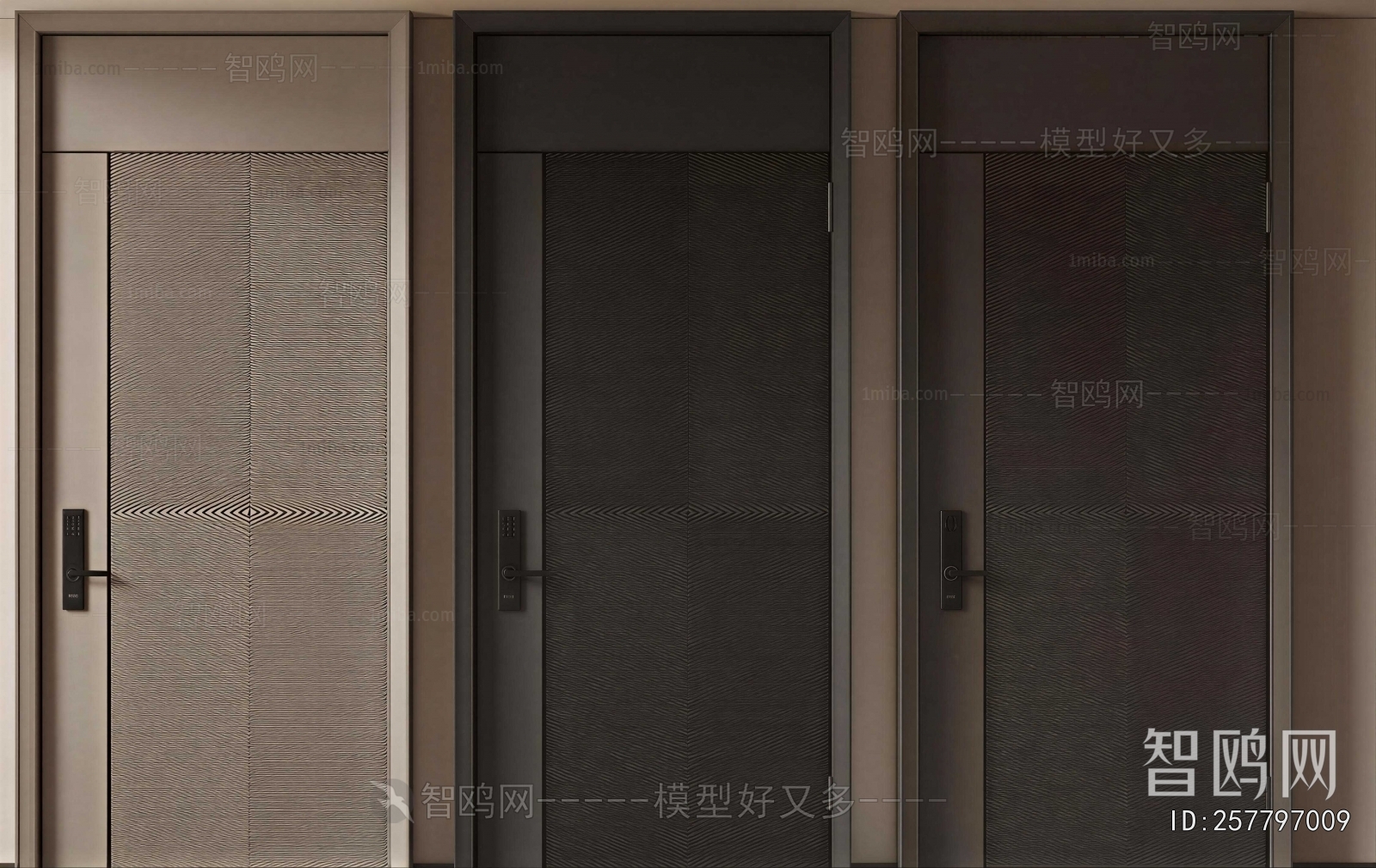 Modern Entrance Door