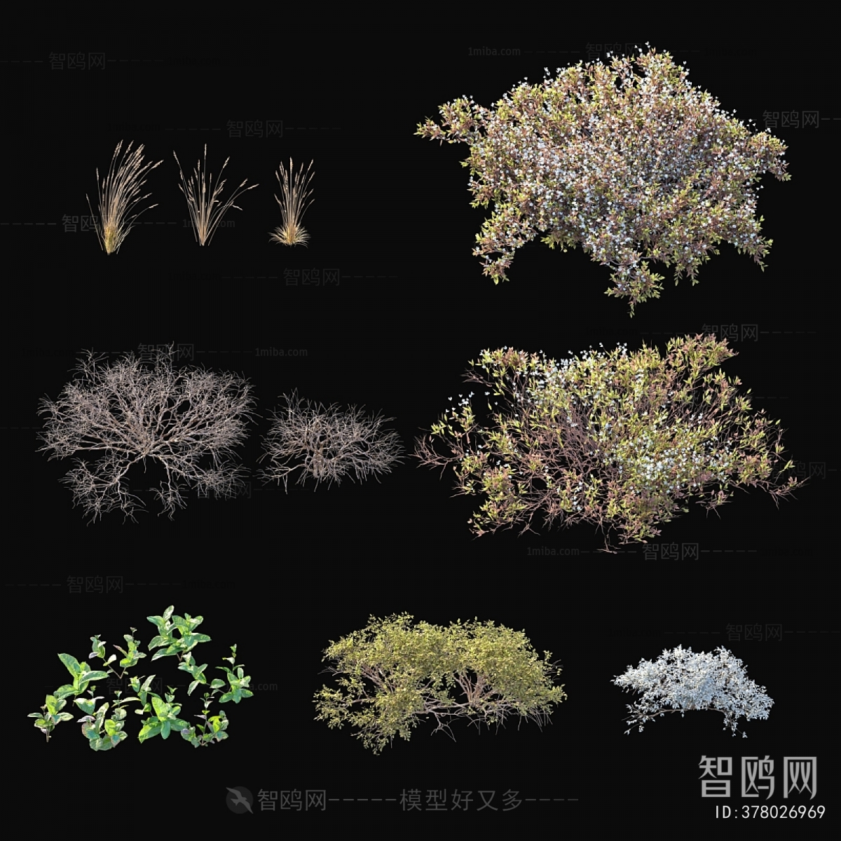 Modern The Grass