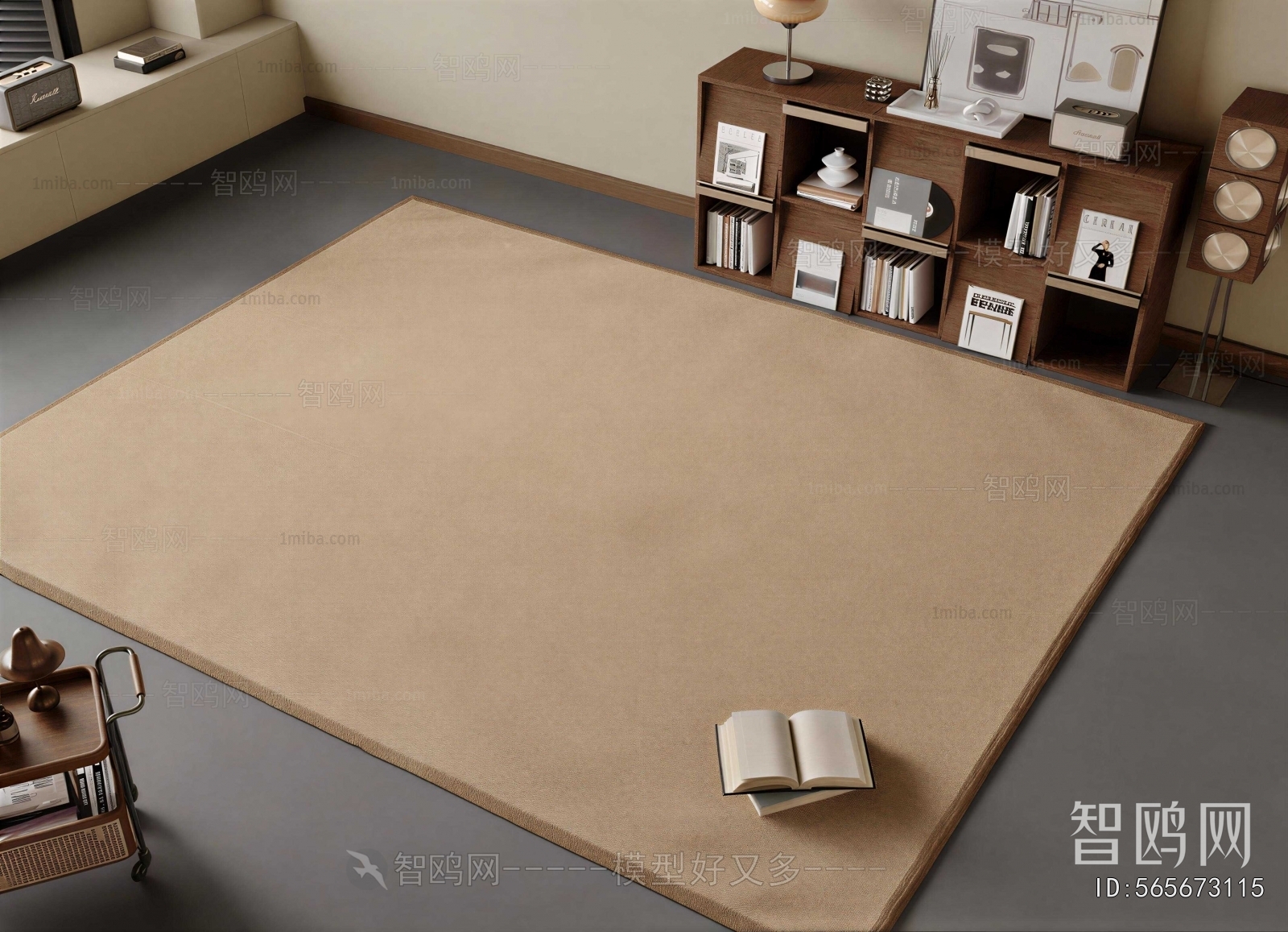 Modern The Carpet