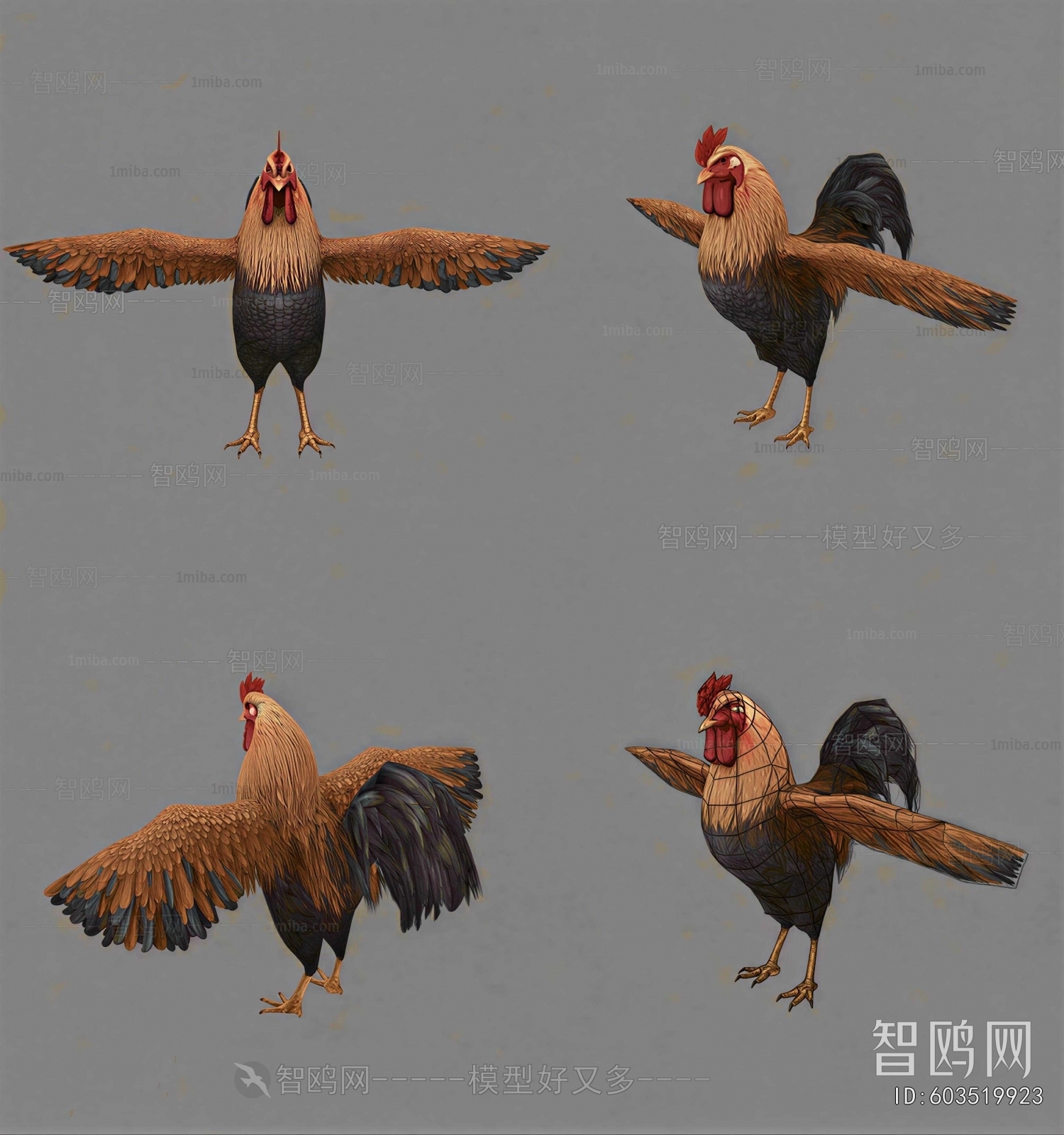 Modern Poultry Animal