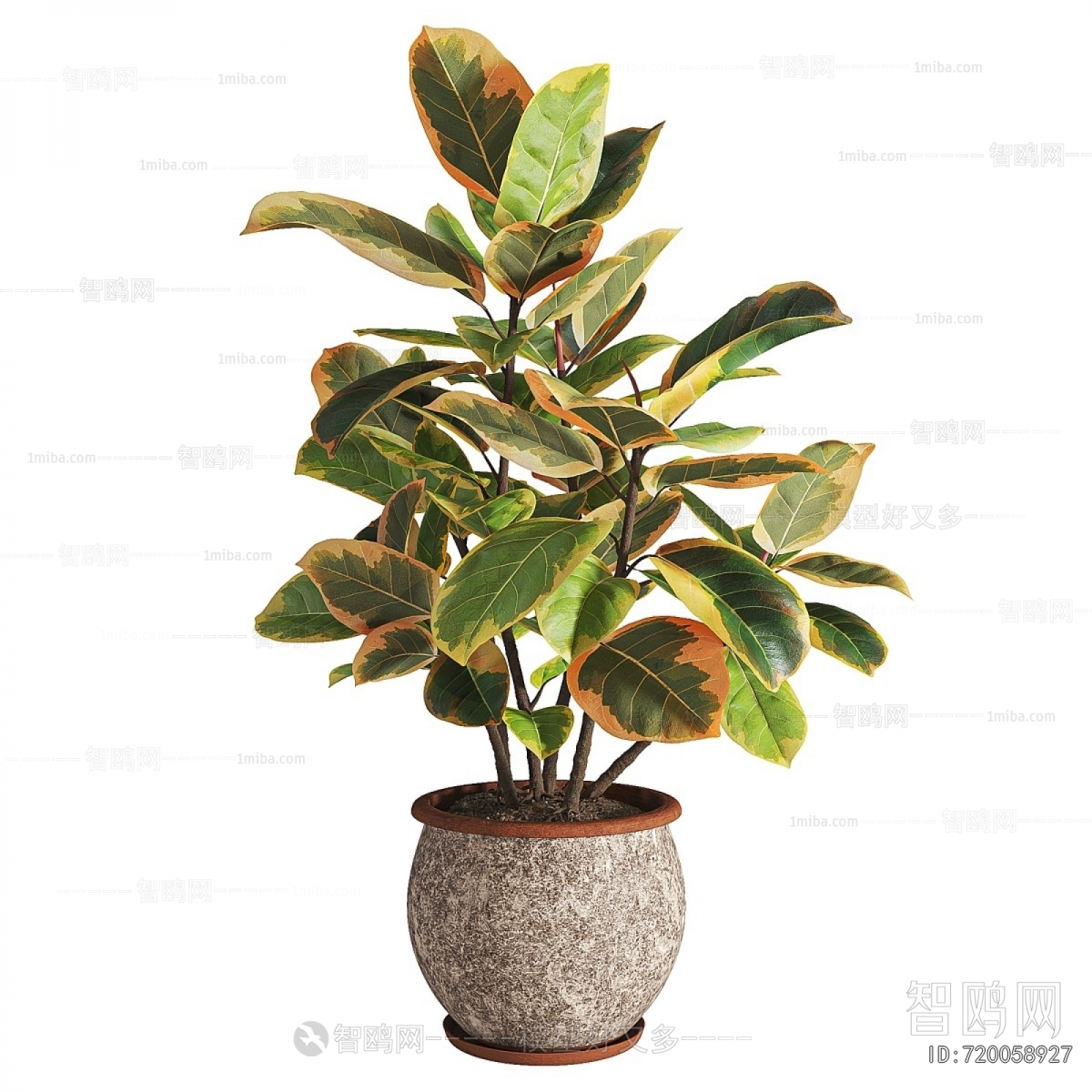 Modern Potted Green Plant