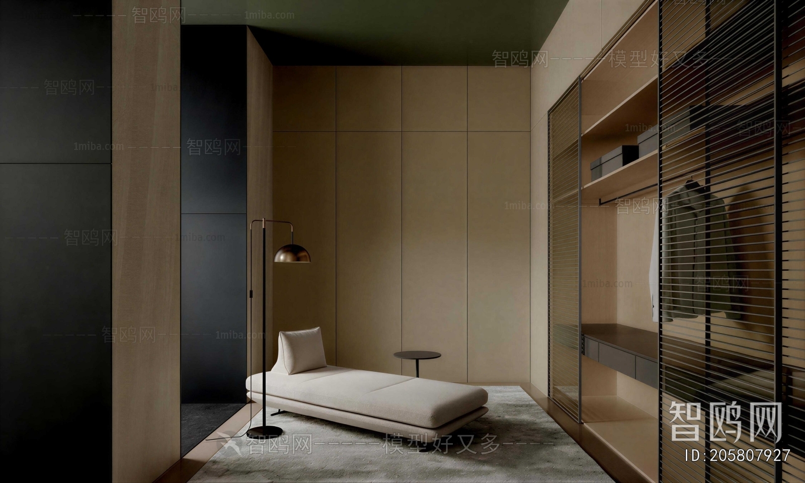 Modern Clothes Storage Area