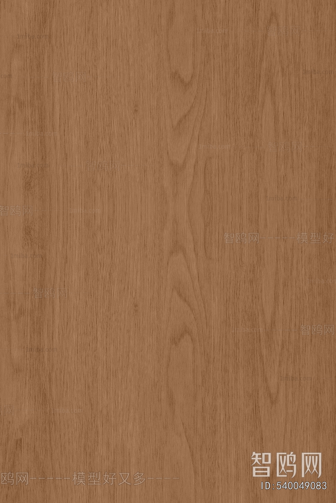 Wood Texture