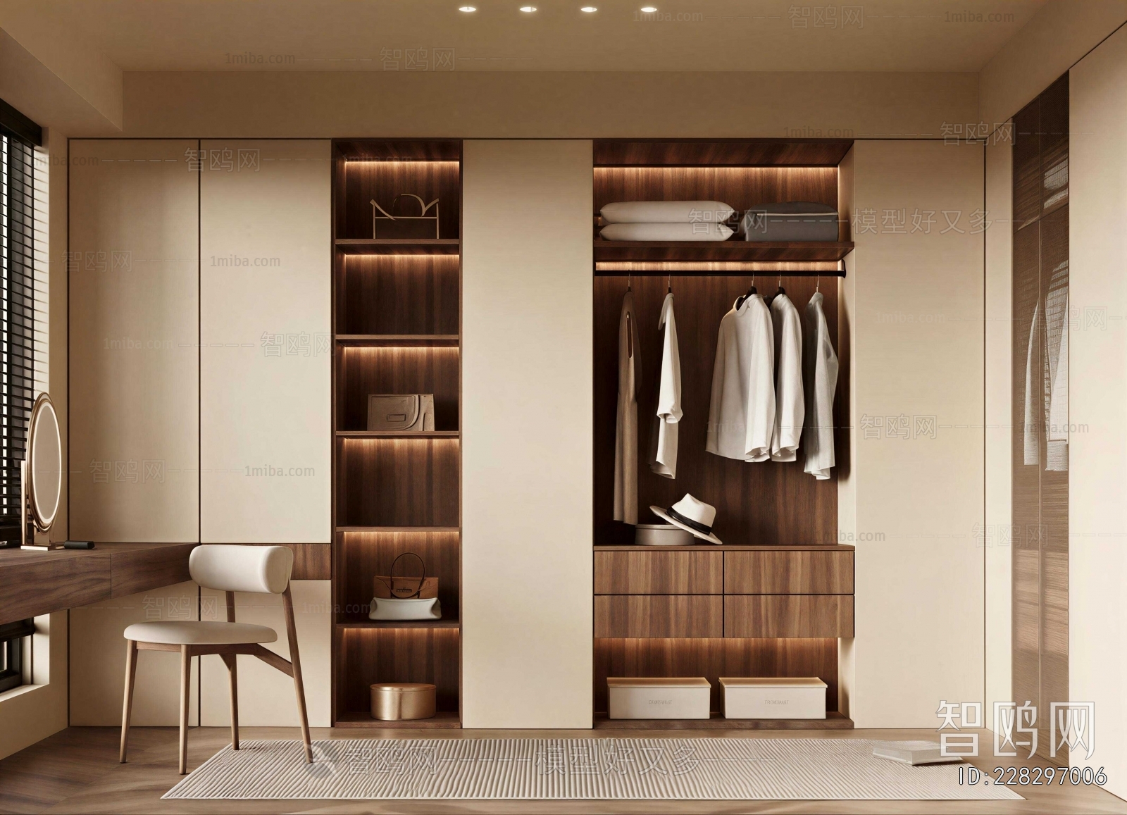 Modern Clothes Storage Area
