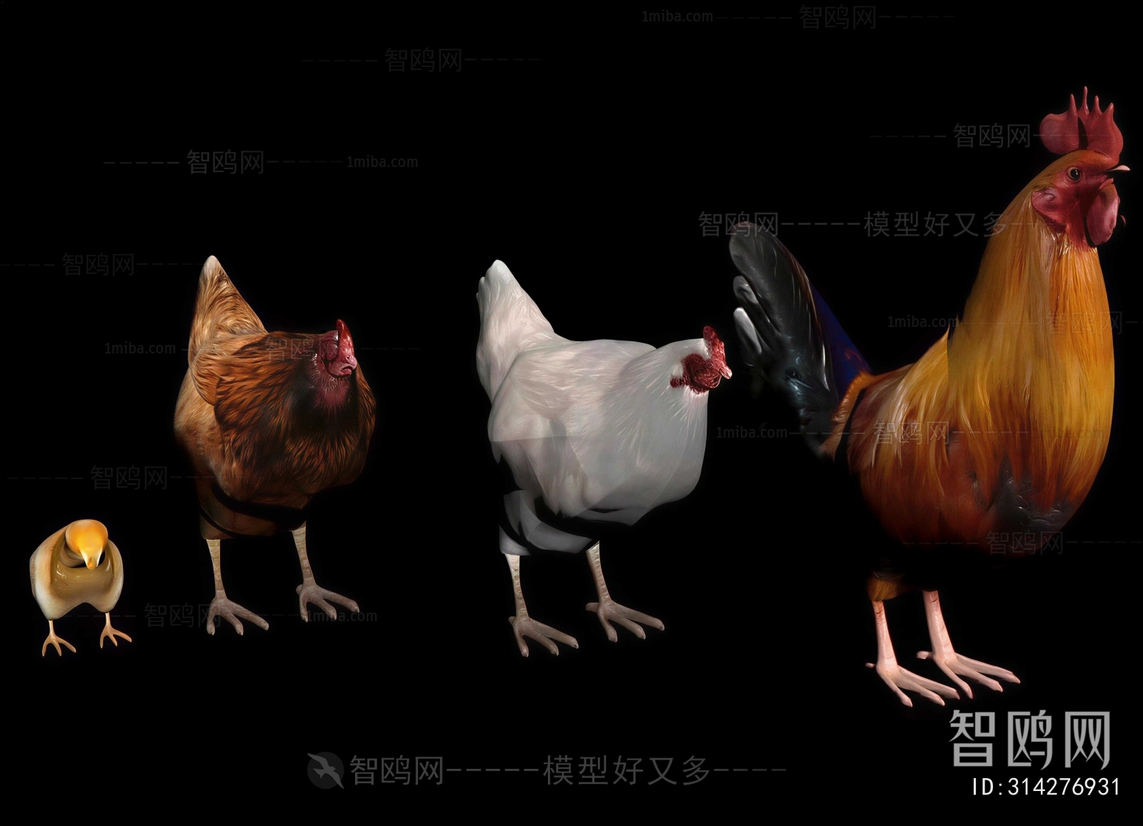 Modern Poultry Animal