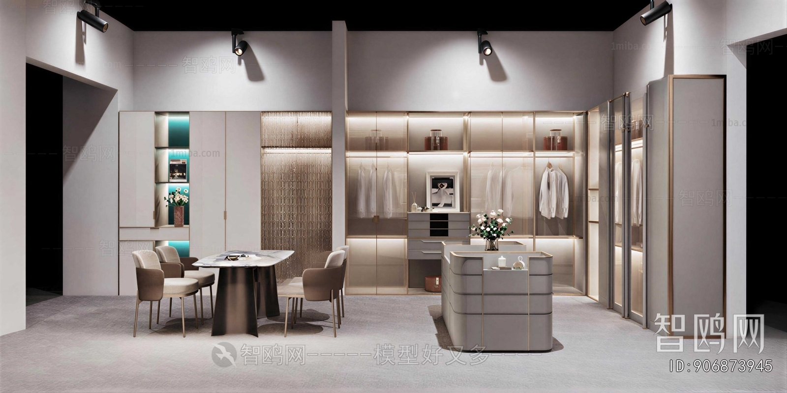Modern Clothes Storage Area
